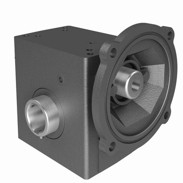 Hub City Cast Iron Single-Reduction Worm Reducer - 215 40/1 B WR 56C 1.000
