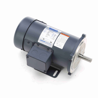 Leeson 098009.00