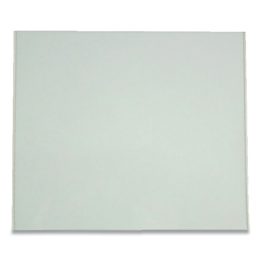 Sellstrom PKU2 Plastic Cover Plate, Clear Shade, 4-1/4 in W x 2 in H, Polycarbonate, Clear (1 EA / EA)