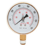 Pressure Gauges