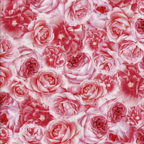 Fleur rosa rosor