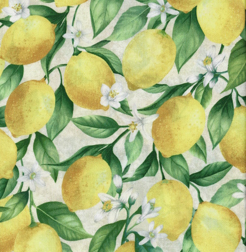 Fruit lemon