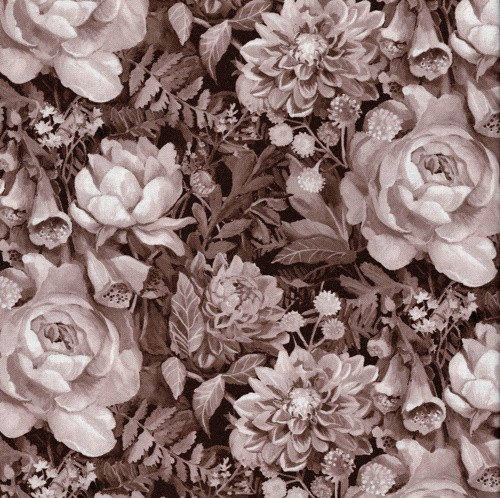 Elegance  Sepia