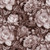 Elegance  Sepia