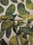Light & Lush 29-022