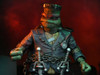 Universal Monsters x Teenage Mutant Ninja Turtles Ultimate Raphael as Frankenstein's Monster Action Figure