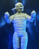 Iron Maiden Mummy Eddie Clothed Action Figure