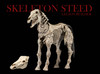 Mythic Legions Reinforcements 3 - Skeleton Steed Legion Builder