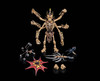 INFINITE LEGIONS - ARACULA - SKELETON WARRIORS' EVIL ARACHNID ASSASSIN!
