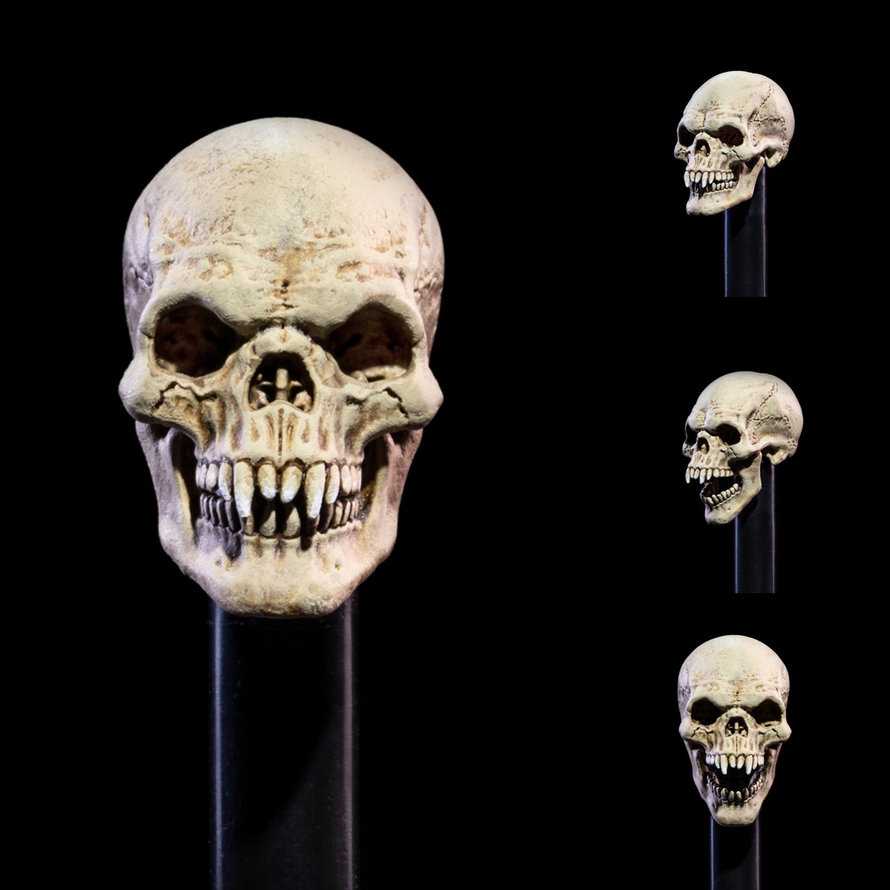 Skull Head for Custom Action Figure Fodder No Helmet Skeleton Mythic  Legions 6