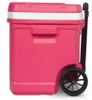 Igloo 60 Latitude Watermelon Cooler - side profile - 34875