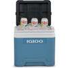 IGLOO 24l camping cool box displaying ice and cans