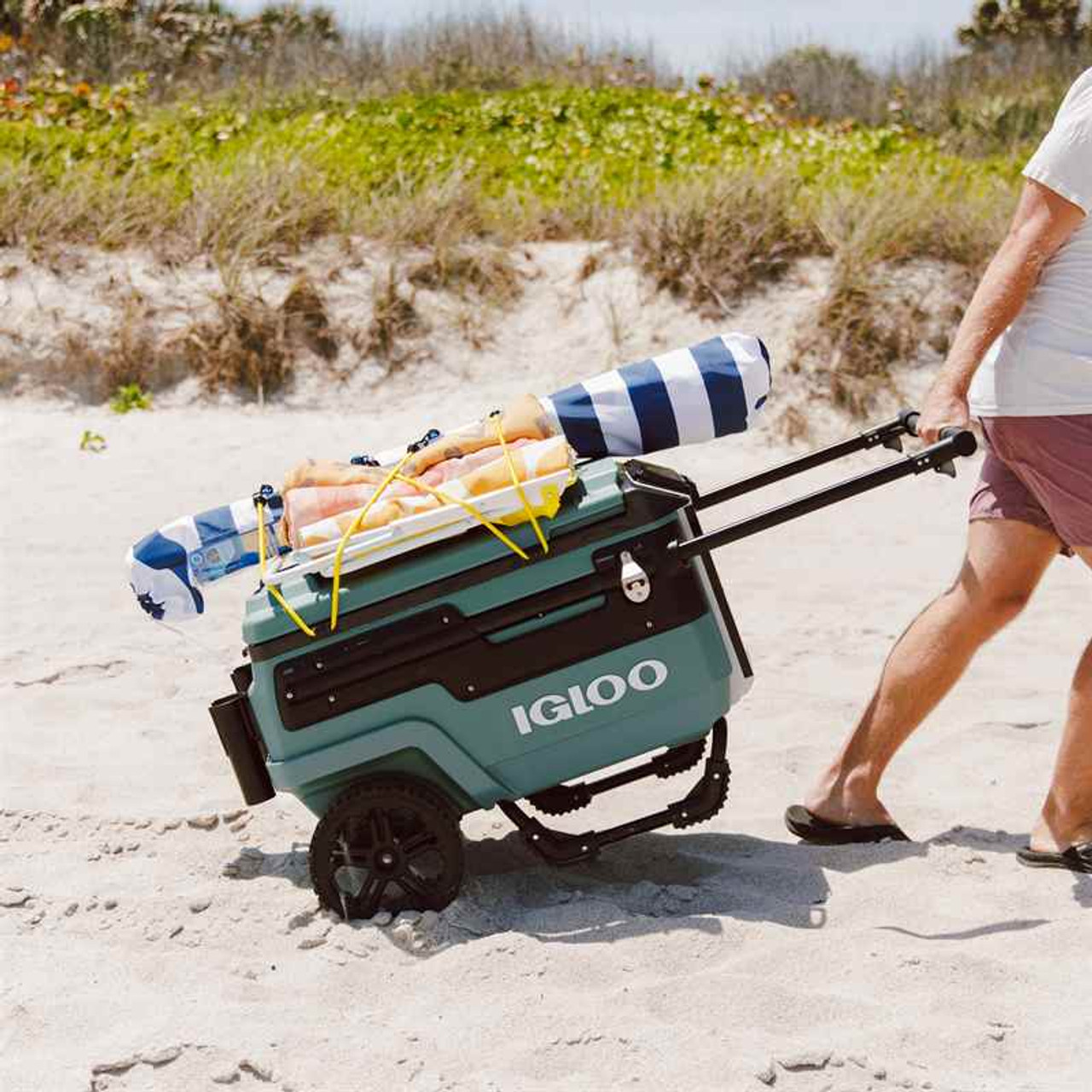 Camping Coolers Igloo Trailmate Journey 70 Qt Cooler Igloo