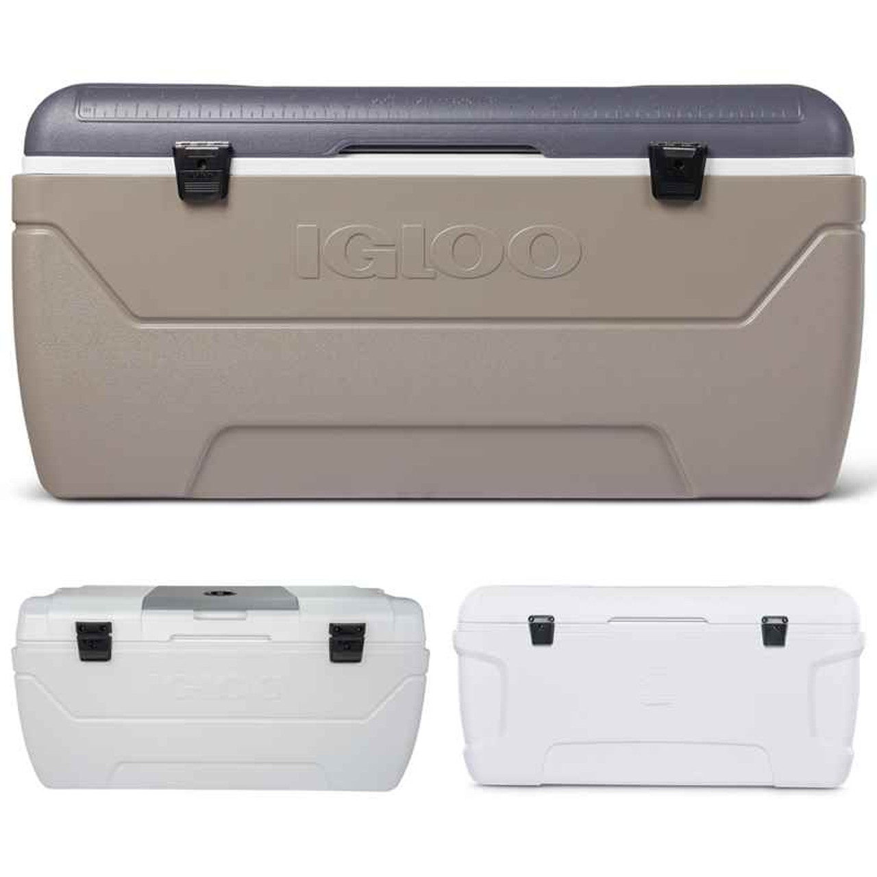 Igloo Coolers MaxCold 165 Contour Cool Ice Cooler Box