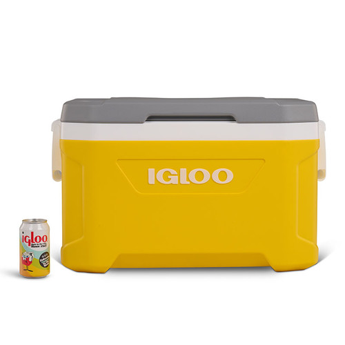 Igloo Latitude Cool Box Camping Beach Cool Box teal, water melon, yellow