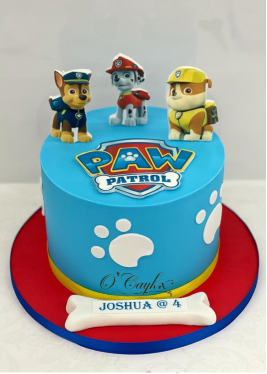 10 Perfect Paw Patrol Birthday Cakes - Pretty My Party