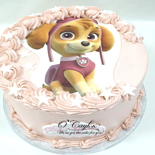 Paw Patrol Cake Skye - CakeCentral.com