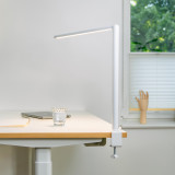 ofinto Lumino Desk blanche avec pince de table blanche – lampe LED peu encombrante avec fixation par pince sur un bureau réglable en hauteur