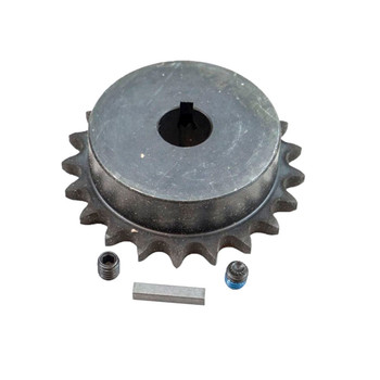 539000302 SPROCKET W/KEY 21 TEETH DRIVE - Image 1