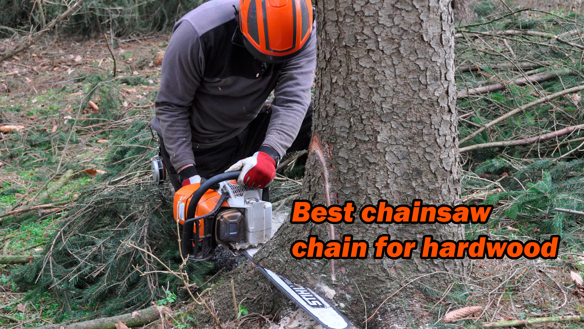 Best Chainsaw Chain For Hardwood CHAINSAW PARTS Best chainsaw chain for hardwood chainsaw parts