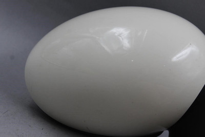 Right Passenger Side Pearl White Door Mirror 07-15 MINI COOPER CLUBMAN OEM 44892 51162755630, 51162755636, 51162754914