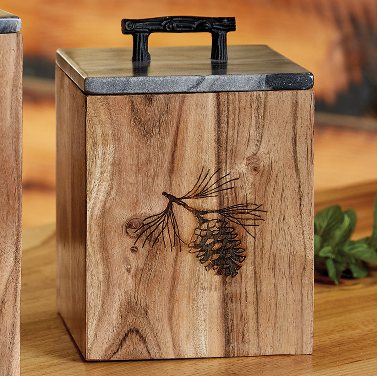 Pine Woods Bear Canister Small Black Forest Decor