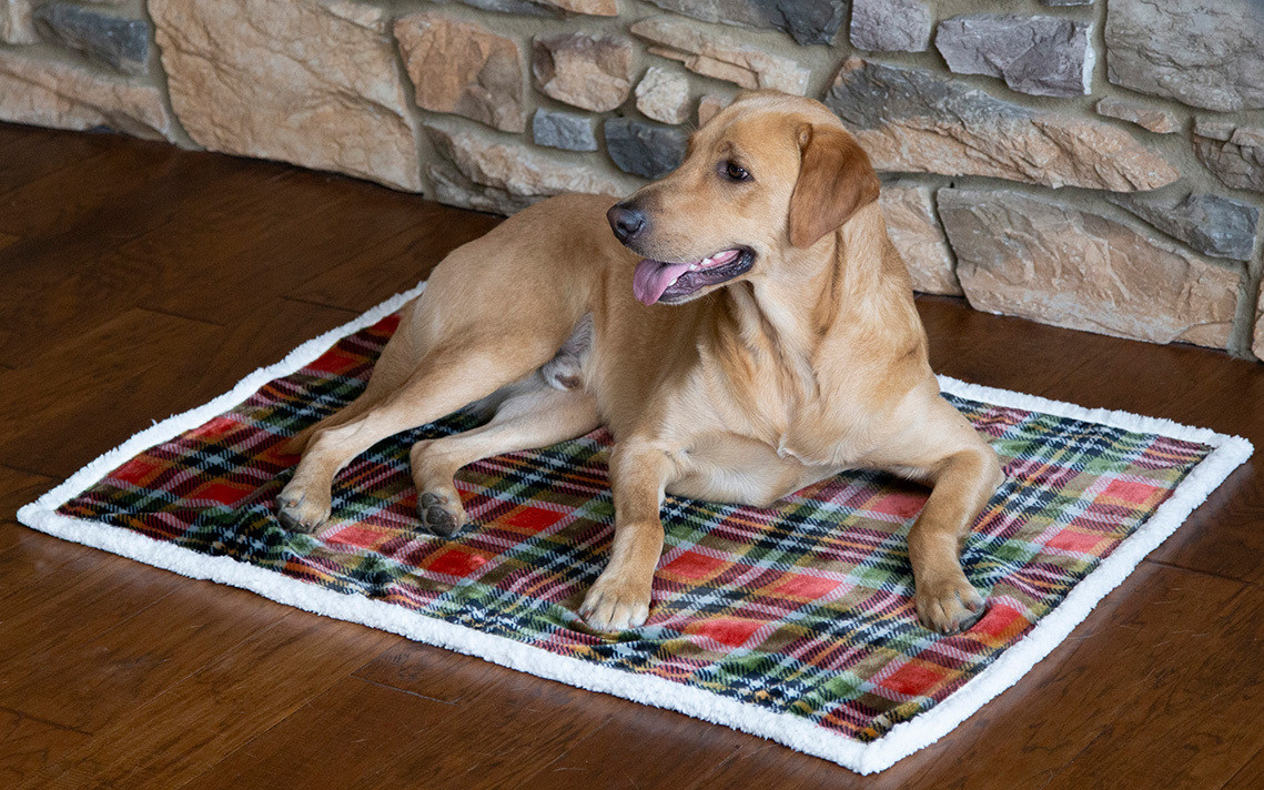 Glasgow Plaid Dog Blankets Black Forest Decor