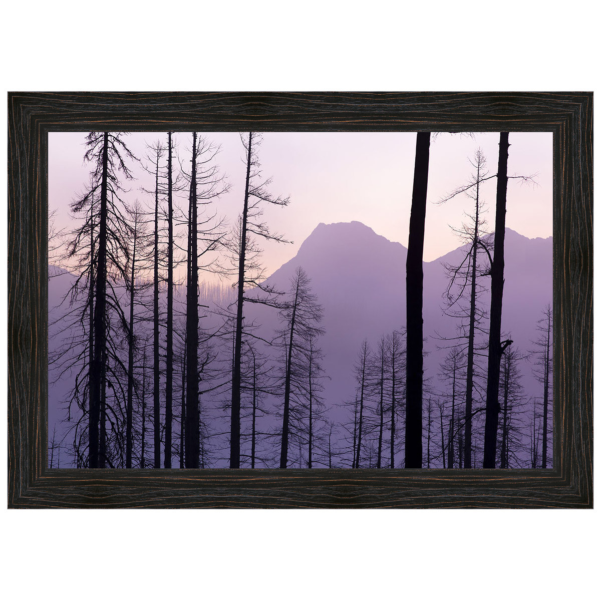 Glacier National Park Framed Canvas Black Forest Decor