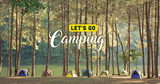 Let's Go Camping!