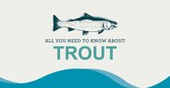 All You Need to Know About Trout