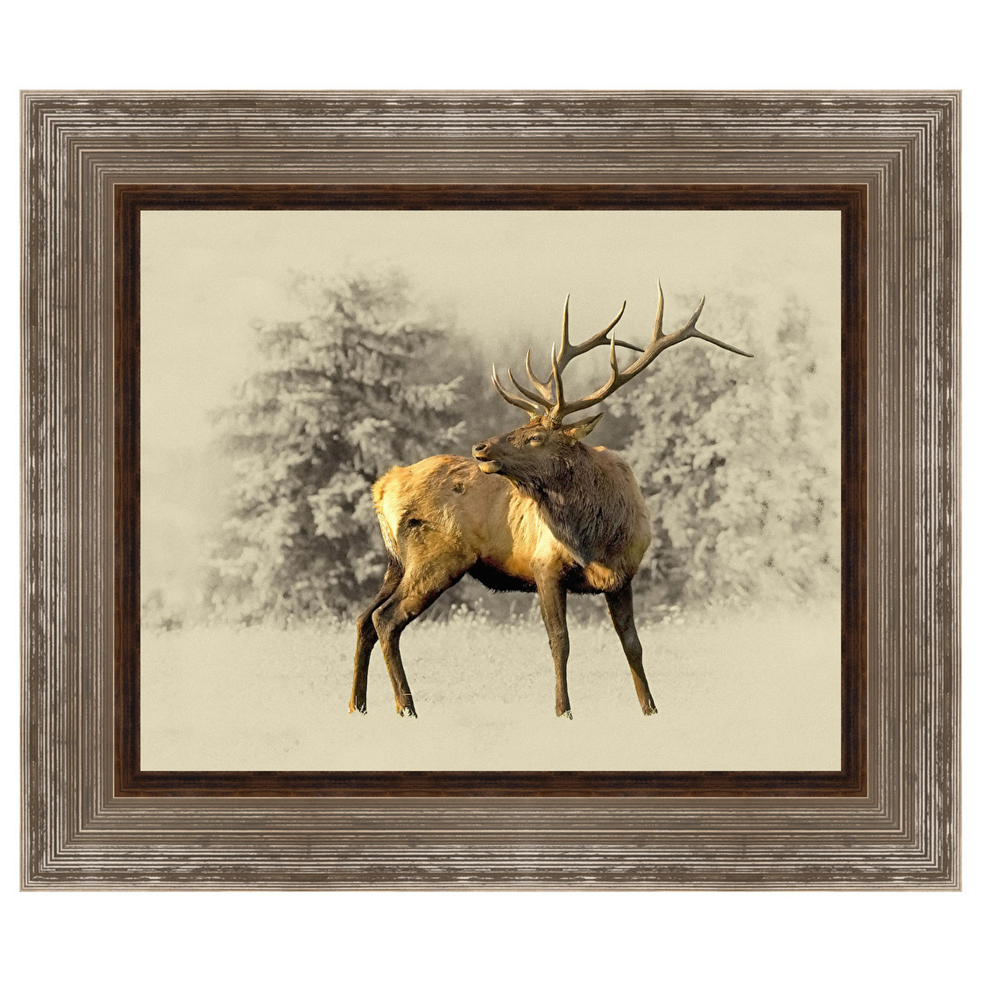 Territorial Bull Framed Wall Art Black Forest Decor