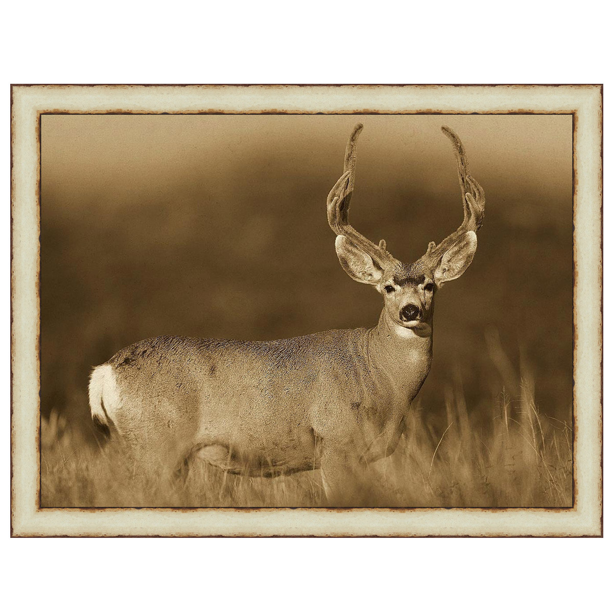 Apple Deer Framed Wall Art Black Forest Decor