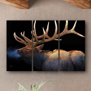 Winter Elk Triptych Wall Art