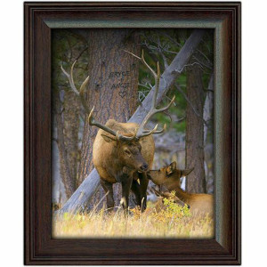 Woodland Sweethearts Personalized Wall Art