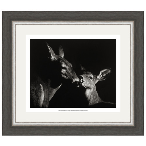 Apple Deer Framed Wall Art Black Forest Decor