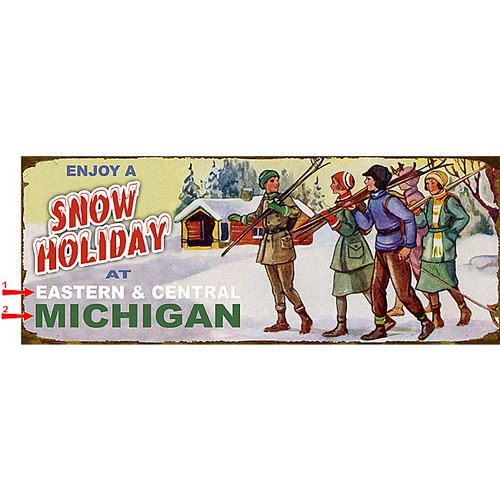 Snow Holiday Sign - 14 x 36