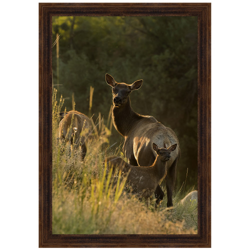 On the Lookout Framed Art