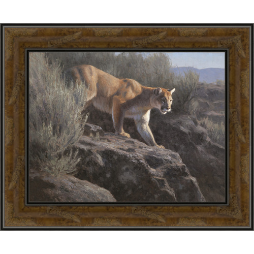 Rocky Mountain Lion Framed Canvas