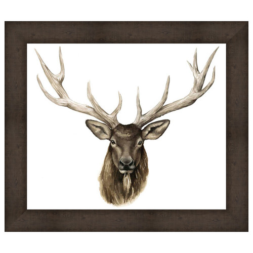 Single Elk Framed Canvas