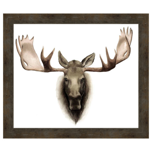 Single Moose Framed Print