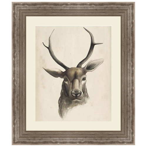 Watercolor Animal Study I with Mat Framed Print