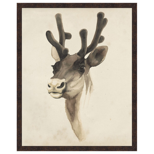 Watercolor Animal Study III Framed Print