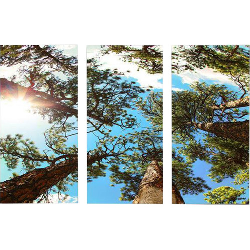 Upward Forest Personalized Block Mount Triptych