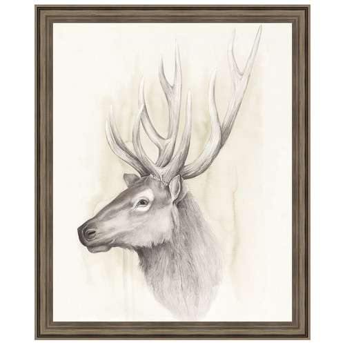 American Wilderness III Framed Print