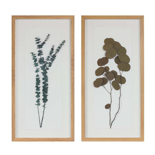 Eucalyptus Sprig Wall Art - Set of 2