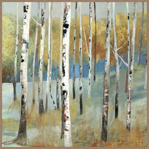 Birch Grove II Canvas Art