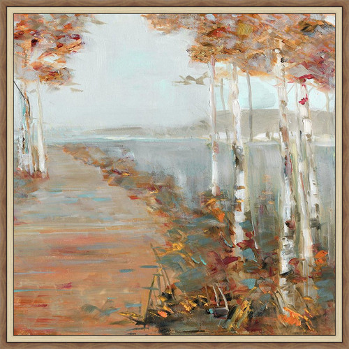Birch Tree Path Framed Canvas