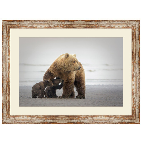 Brown Bear Family Time Framed Art