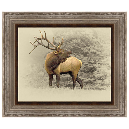 Territorial Bull Framed Wall Art Black Forest Decor