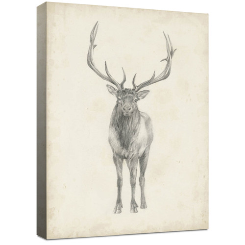 Elk Pencil Sketch Canvas Wall Art